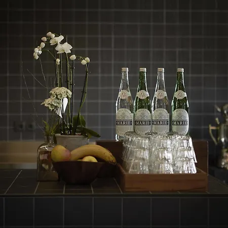 The Duke Boutique Hotel 's-Hertogenbosch (Den Bosch)