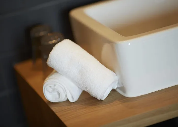 The Duke Boutique Hotell 's-Hertogenbosch (Den Bosch)